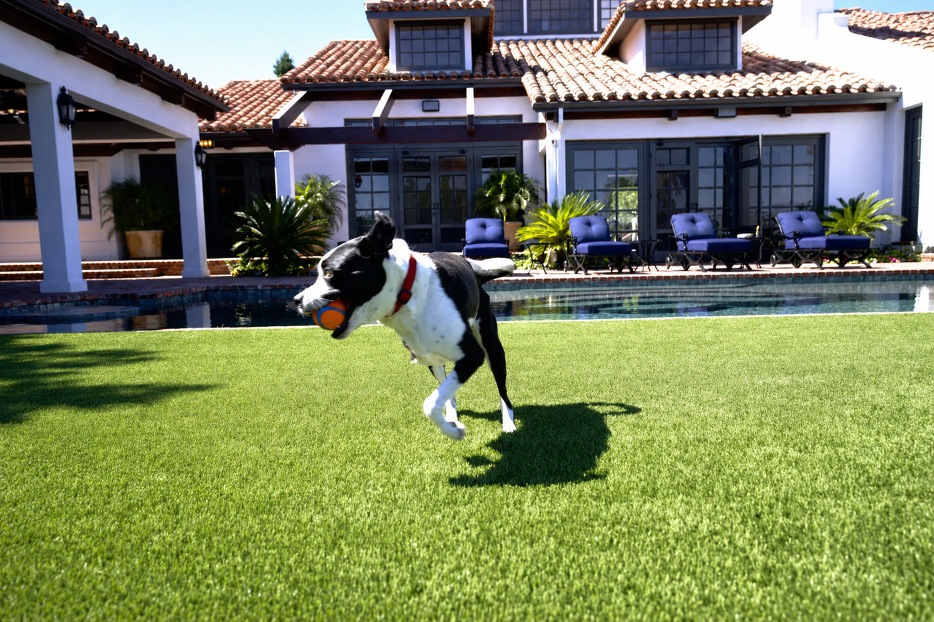Pet-friendly turf in Mission, TX